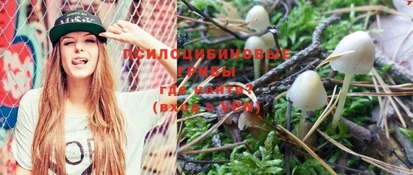 mdpv Коряжма