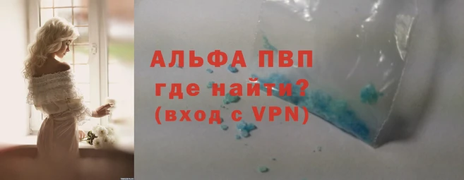 шишки Кодинск