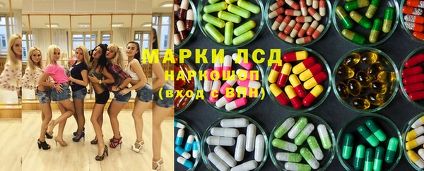 шишки Кодинск