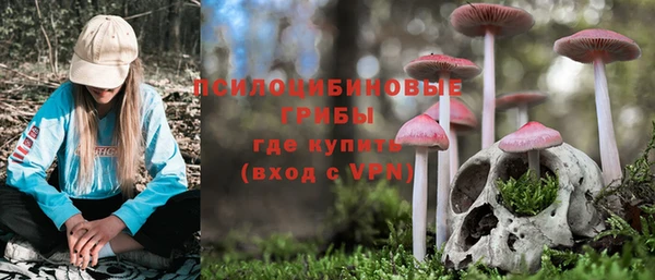 mdpv Коряжма