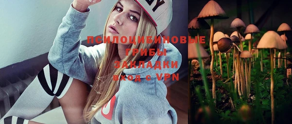 mdpv Коряжма