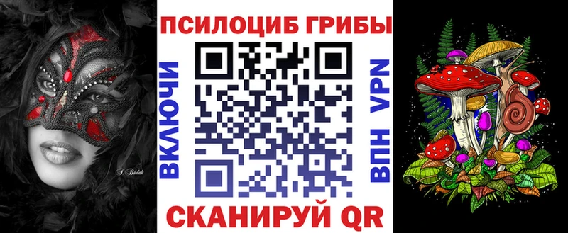 цена   Кузнецк  Галлюциногенные грибы GOLDEN TEACHER 