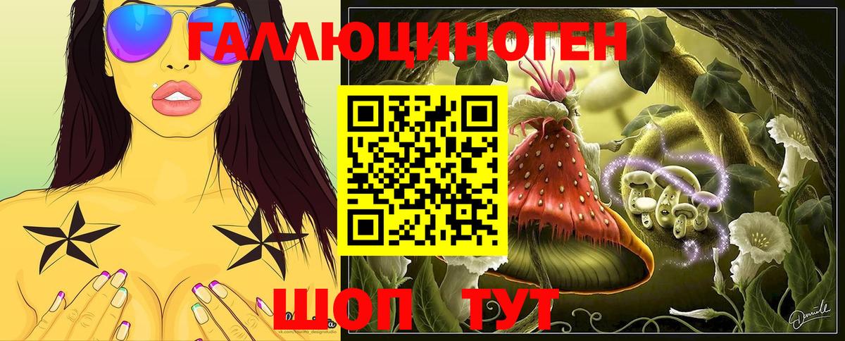 где продают   Псилоцибиновые грибы прущие грибы  Вход с VPN  Кузнецк 