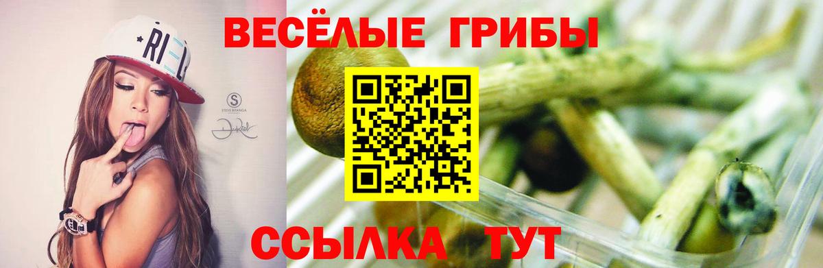Псилоцибиновые грибы мухоморы Кузнецк