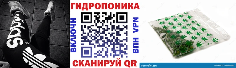 omg зеркало  Кузнецк  Каннабис ГИДРОПОН 